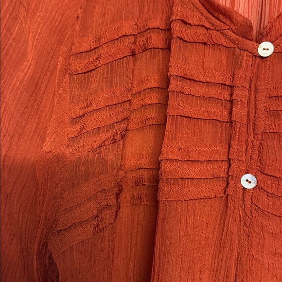 Kimchi Blue Sheer Buttoned Blouse, Size S, Color Auburn - Picture 5 of 7